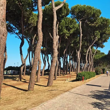 Апартаменты Michela-3 By Interhome